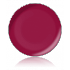 LIPSTICK COLOR / Помада для губ, тон: №13, 1 г, в рефилах