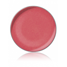 LIPSTICK COLOR / Помада для губ, тон: №25, 1 г, в рефилах