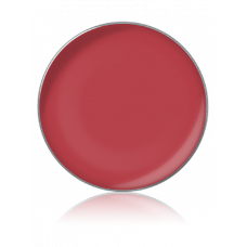 LIPSTICK COLOR / Помада для губ, тон: №34, 1 г, в рефилах
