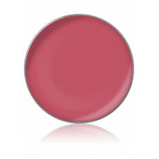 LIPSTICK COLOR / Помада для губ, тон: №42, 1 г, в рефилах