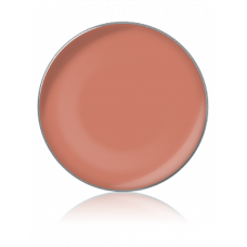 LIPSTICK COLOR / Помада для губ, тон: №46, 1 г, в рефилах