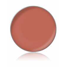 LIPSTICK COLOR / Помада для губ, тон: №48, 1 г, в рефилах