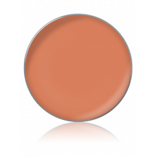 LIPSTICK COLOR / Помада для губ, тон: №49, 1 г, в рефилах