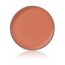 LIPSTICK COLOR / Помада для губ, тон: №50, 1 г, в рефилах