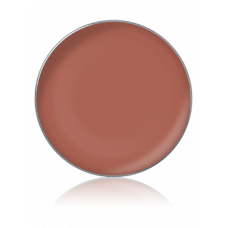 LIPSTICK COLOR / Помада для губ, тон: №51, 1 г, в рефилах
