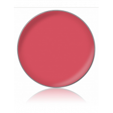 LIPSTICK COLOR / Помада для губ, тон: №65, 1 г, в рефилах