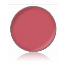 LIPSTICK COLOR / Помада для губ, тон: №66, 1 г, в рефилах
